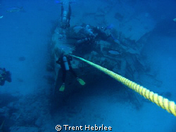 My ear would not clear for a shark dive so I took this sh... by Trent Hebrlee 